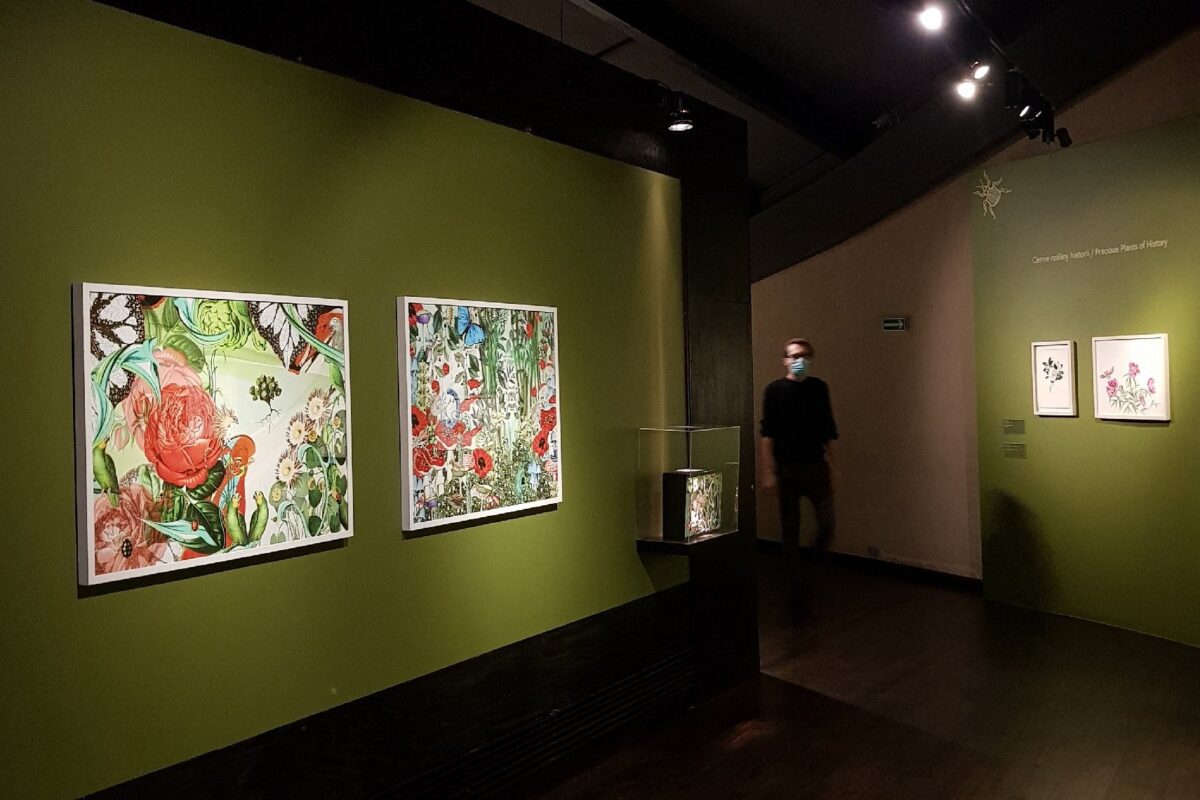 „Botaniczne poszukiwania. Sztuka Botaniczna w XXI wieku”, Muzeum Sztuki i Techniki Japońskiej Manggha w Krakowie | Polska, 2021